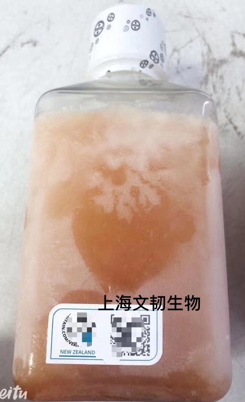 正规胎牛血清加工_提供生化试剂-上海文韧生物科技有限公司