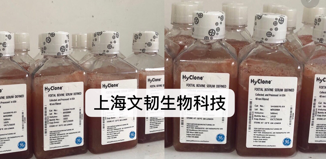 原装进口胎牛血清代理_提供生化试剂-上海文韧生物科技有限公司