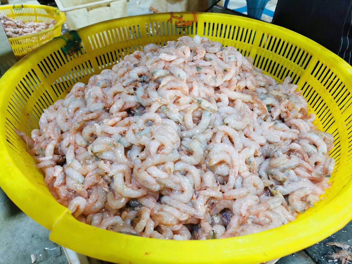 广西鱼虾烘干机补贴_贵州-广东奥伯特节能设备有限公司