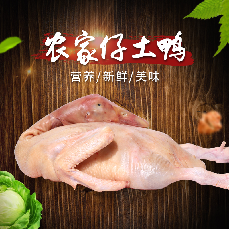 重庆哪里有农家土鸭批发价格_干净的鸭多少钱一斤-成都诚明农副产品有限公司