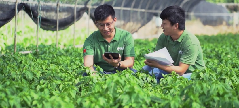 广东乡村振兴战略规划加盟_茂名农业有什么项目可以做-广东菜丁科技集团有限公司