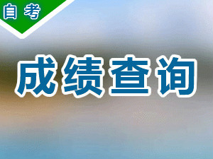 广西成人网络教育培训_成人-中乂教育咨询（广东）有限公司
