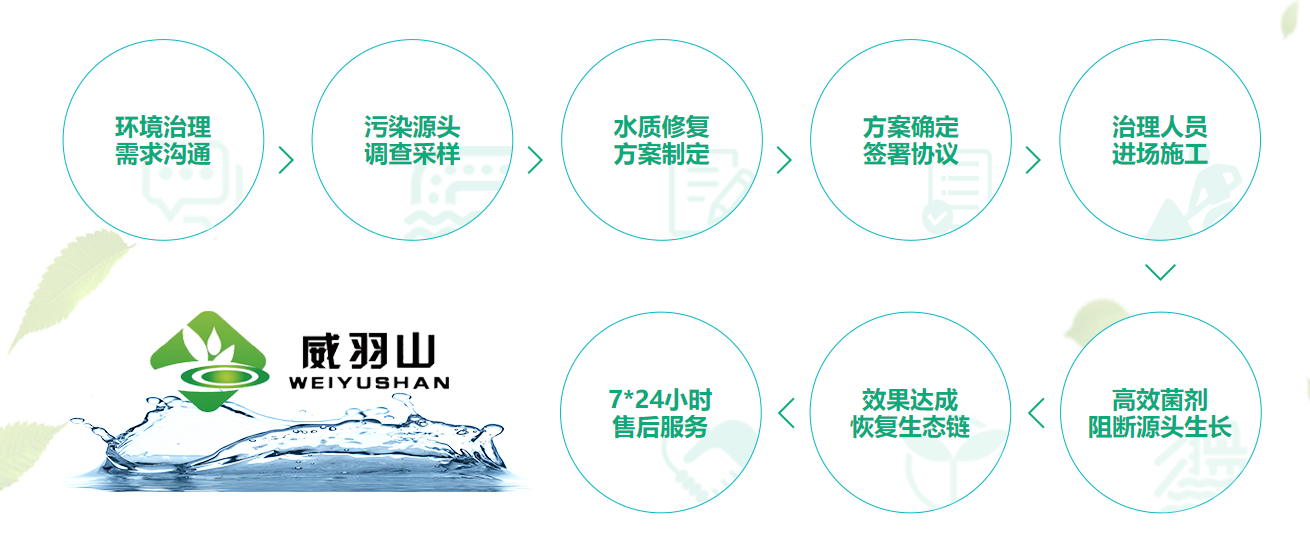 有效的蓝藻治理生态修复_蓝藻治理价格相关-青岛威羽山环保科技有限公司
