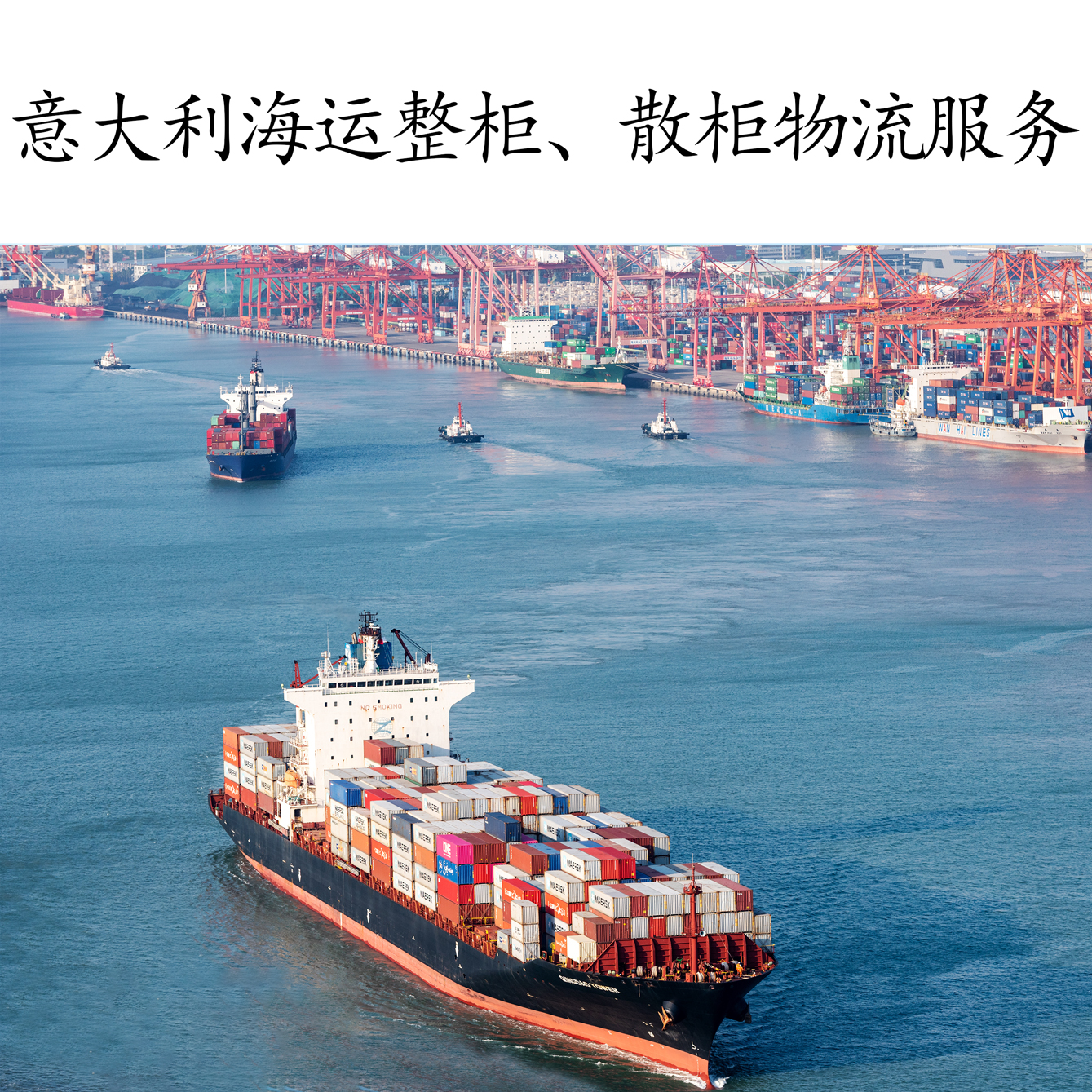 提供意大利海运整柜代理_专业国际海运服务-福海供应链（深圳）有限公司