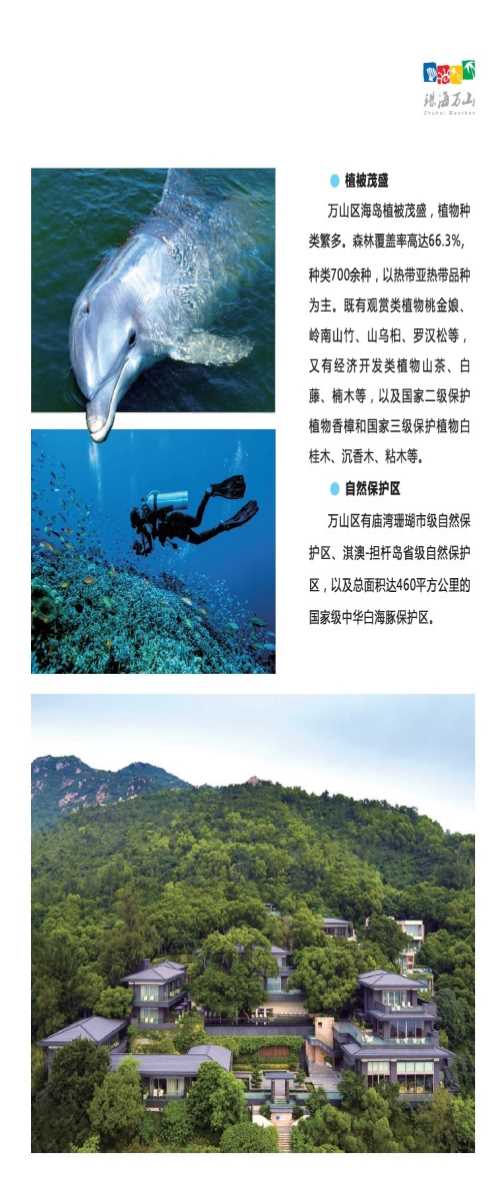 美食前十名_广东旅游服务旅游项目-珠海万山海洋开发试验区