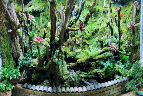 热带雨林水陆缸造景批发-山东卓匠景观设计有限公司