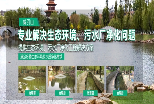 上海农村黑臭河道消除治理企业排名_口碑好的环保项目合作-青岛威羽山环保科技有限公司
