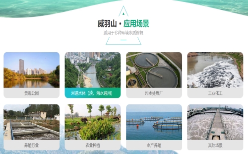 公园清除蓝藻_有效的设备-青岛威羽山环保科技有限公司