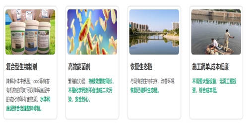 上海农村黑臭河道消除治理企业排名_口碑好的环保项目合作-青岛威羽山环保科技有限公司