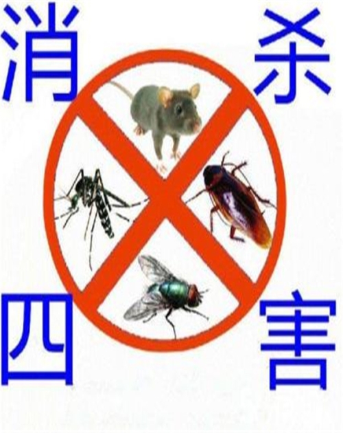 灭苍蝇推荐_上门环保推荐-山东龙信有害生物防治有限公司