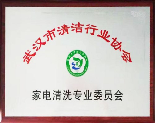 家电清洗加盟_湖南中介服务加盟排名-武汉金威清洁环保有限公司