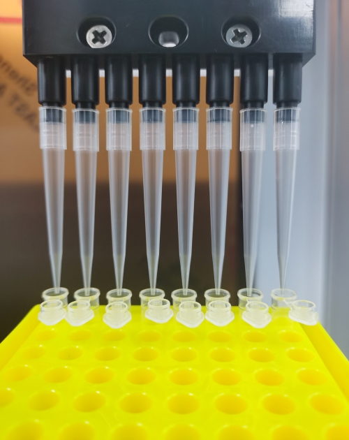 净化PCR超净工作台_桌上型-为谷仓（山东）智能科技有限公司