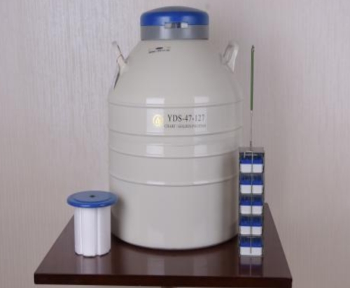 原装液氮罐批发_东亚液氮罐相关-济南德辉气体有限公司