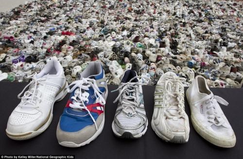 正规鞋子回收多少钱_ 鞋子回收厂相关-济南牛团网络科技有限公司