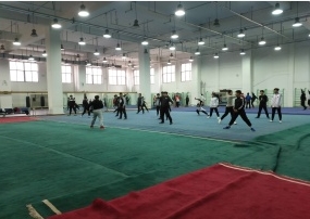天津体育高考文化培训_知名体育运动项目合作-山东速度体育发展有限公司