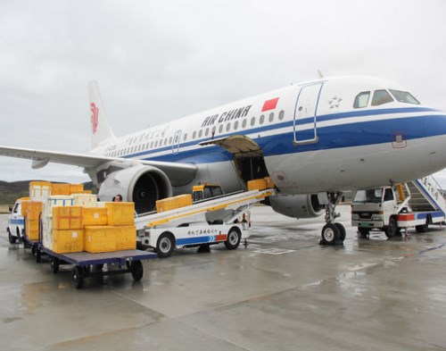 菏泽专业航空运输价格_航空运输公司相关-山东鲁滨逊国际货运代理有限公司