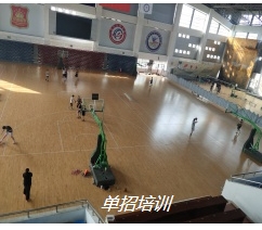北京高水平体育单招_中考-山东速度体育发展有限公司