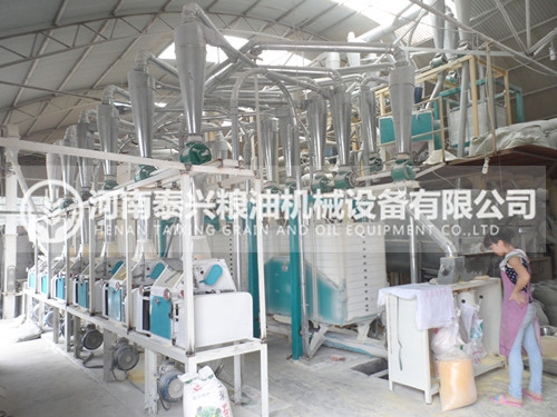 全自动玉米制糁机生产厂家-河南泰兴粮油机械设备有限公司