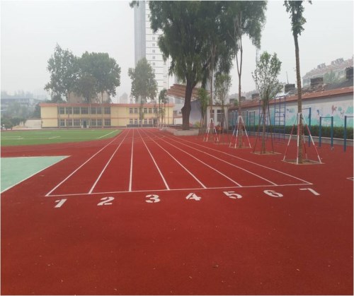 西藏球场塑胶跑道厂-山东宇博体育设施工程有限公司