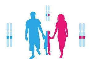 正规父子亲子鉴定流程-美博基因检测中心