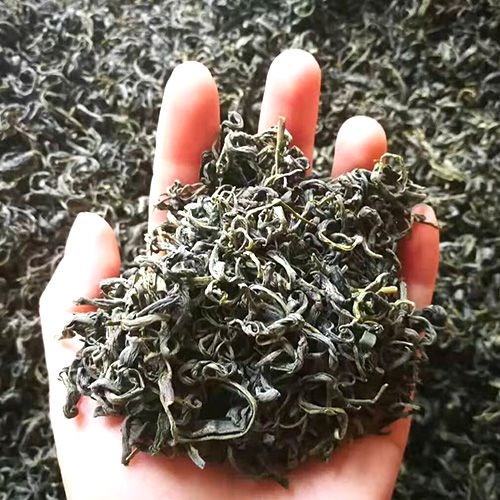 天津有机茶品牌_济南红茶生产厂家-海阳锦源健康产业发展有限公司