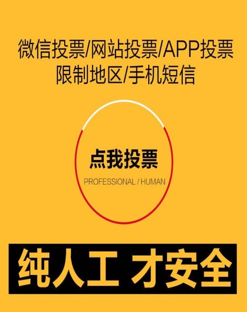 人工投票团队_小程序商务服务-深圳淘力网络科技有限公司