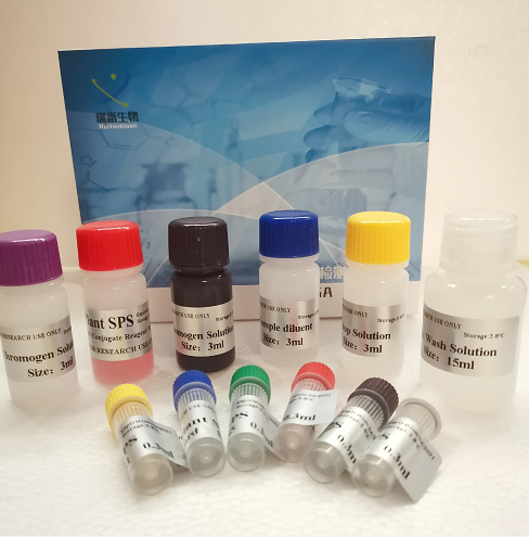 小鼠甲状腺素T4ELISA试剂盒