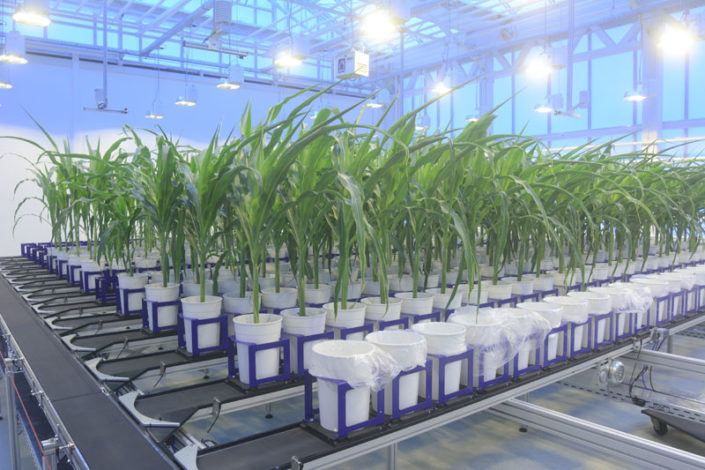 湖北植物表型成像系统哪家好_哪里有农业价格-北京博普特科技有限公司