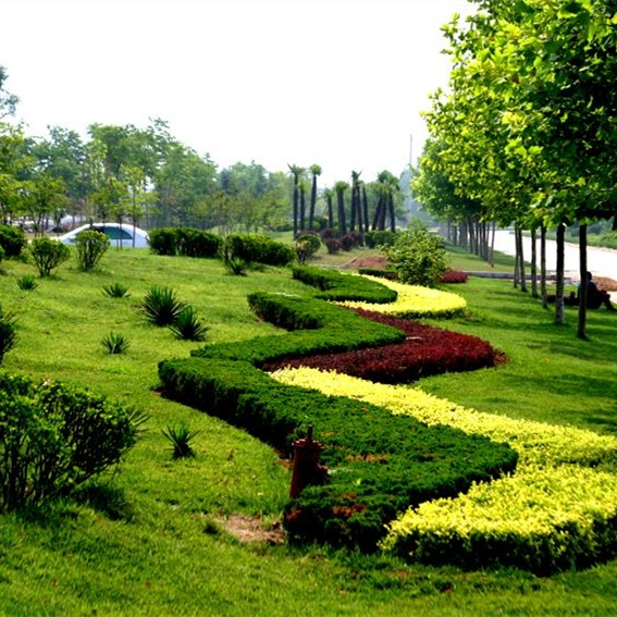 城市园林设计_东方园林-沧州广野园林绿化有限公司