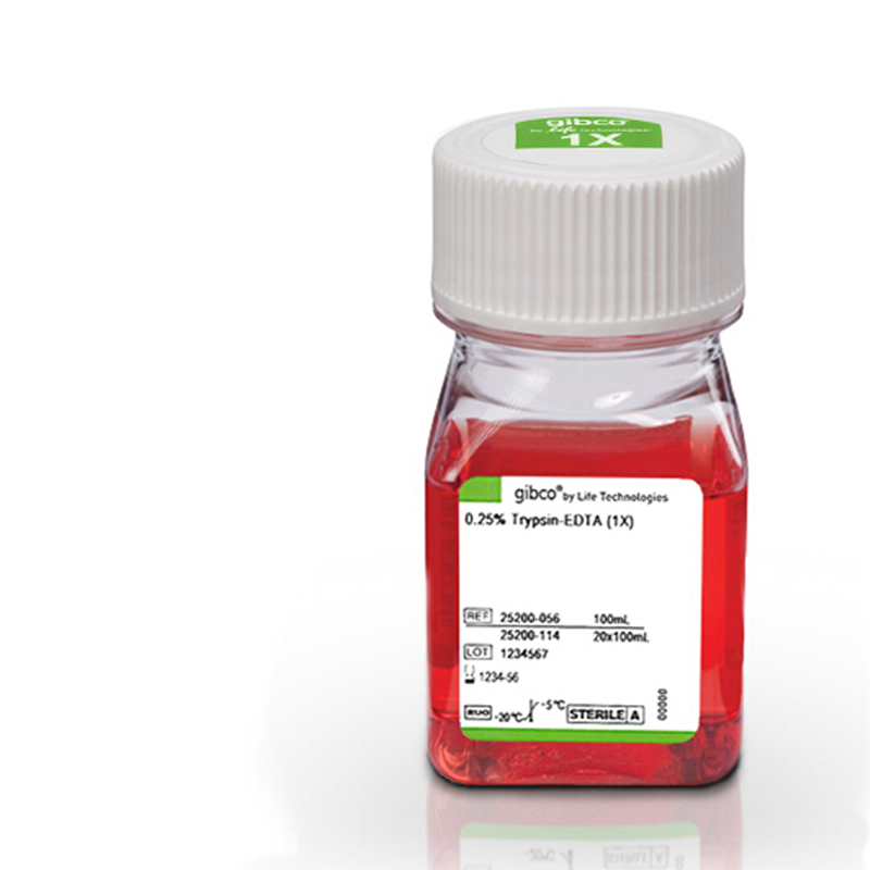 Gibco胰蛋白酶-EDTA (0.25%)含酚红_胰蛋白酶EDTA