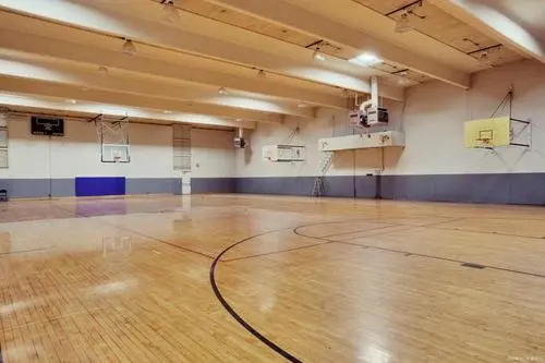 篮球木地板多少钱一个_篮球会伤地板吗_篮球地板图片
