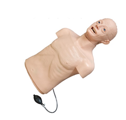 东营CPR模拟人老年人心肺复苏模拟人产品介绍  抢救模拟人老年人心肺复苏模拟人