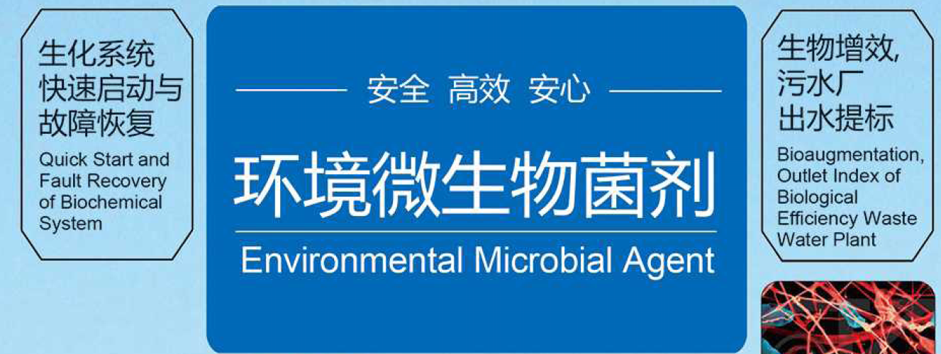 微生物菌种污水调试厂家_微生物菌种污水调试服务商_上海森绿环保节能工程有限公司
