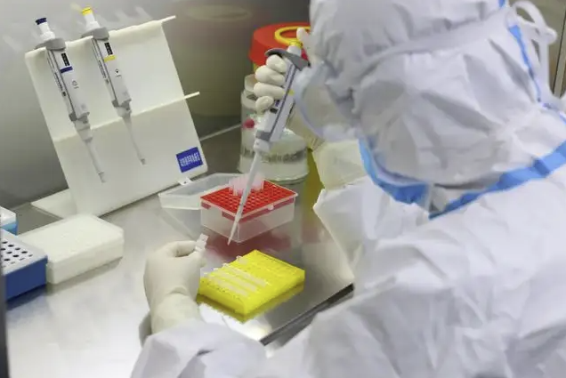 牛副结核分歧杆菌(MPB)核酸检测试剂盒(荧光PCR法)_核酸检测