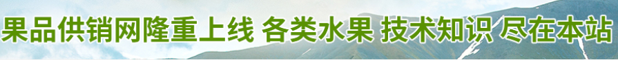 成都不知火丑柑基地_不知火丑柑批发_果品供销网