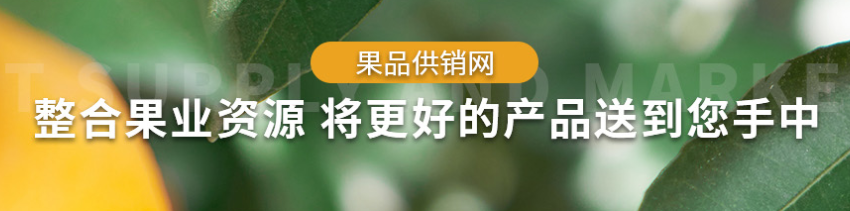 成都哪能买到蜂糖李_成都蜂糖李种植培训_果品供销网