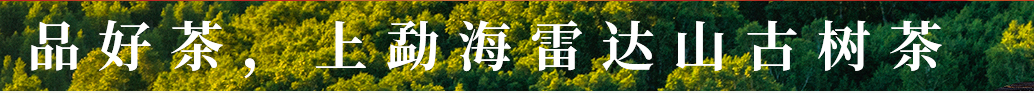 西双版纳普洱茶多少钱_西双版纳古树普洱茶口感_勐海格朗和喜鑫茶叶初制所