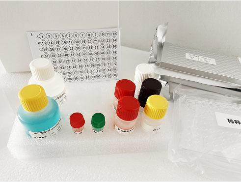 大鼠5羟色胺酶联免疫分析试剂盒_5羟色胺酶联免疫elisa检测试剂盒_上海晅科生物科技有限公司