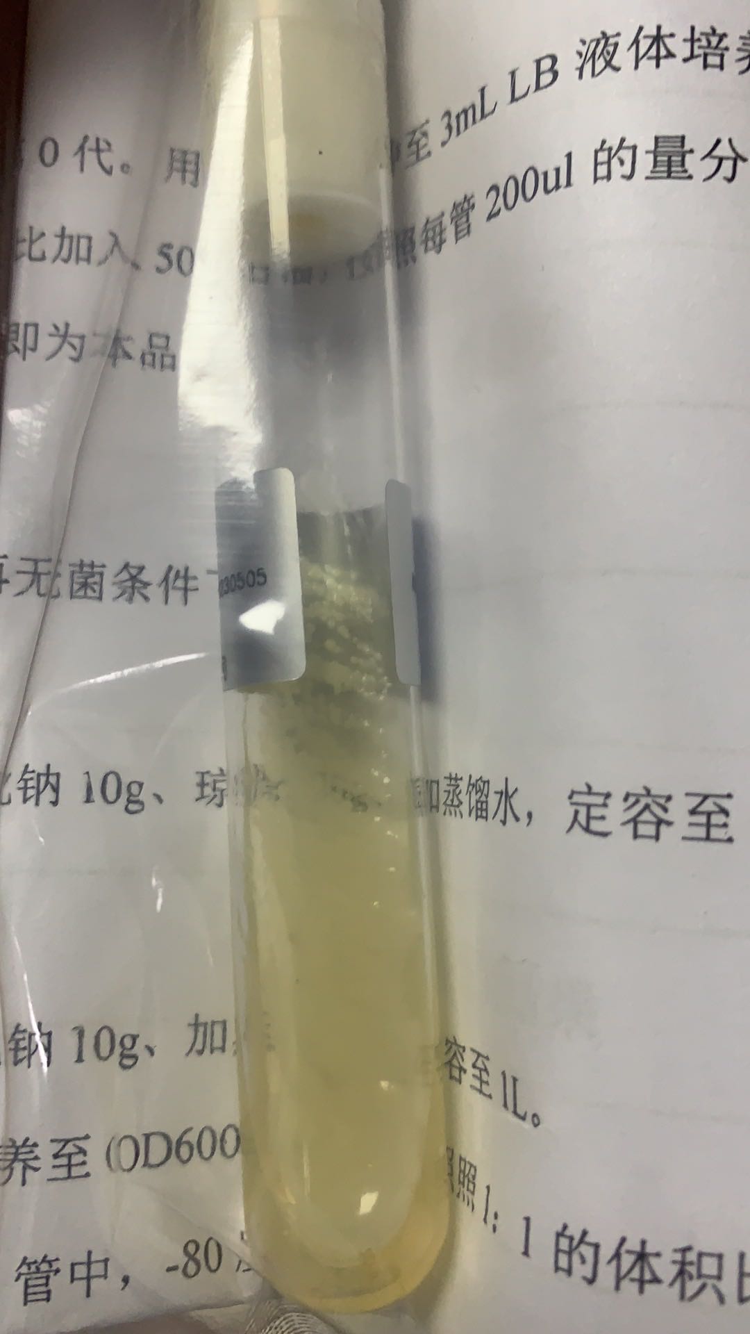 提供金黄色葡萄球菌菌种_冻干粉金黄色葡萄球菌保藏中心_上海晅科生物科技有限公司