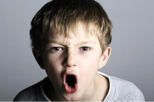 云南临沧怒江叛逆孩子青少年_云南个旧蒙自办公,文教项目合作军事化